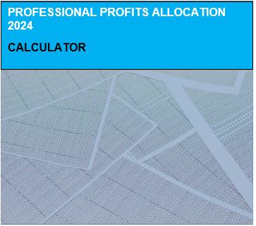 Professional Profits Allocation Calculator 2024